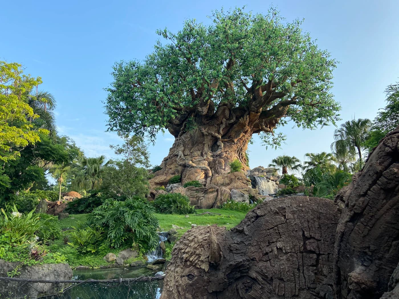 Árvore da Vida no Animal Kingdom